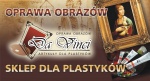 Logo Da Vinci - Nowy Sącz